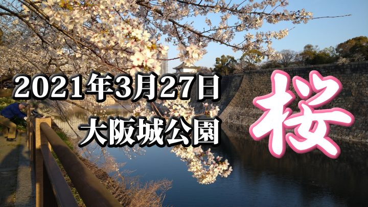 大阪城公園 桜🌸さくら 【大阪府・大阪市】